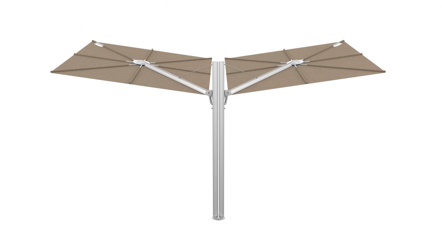 Parasol Spectra, Umbrosa