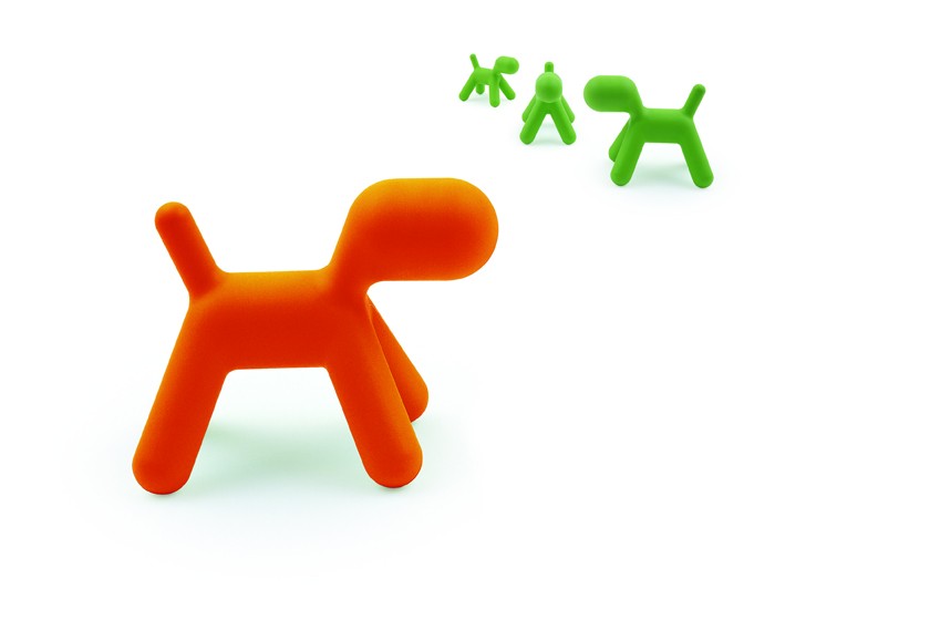 Chien Puppy, Magis
