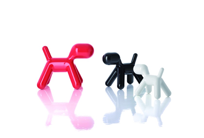Chien Puppy, Magis