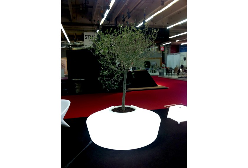 Banc Sardana lumineux, Qui est paul